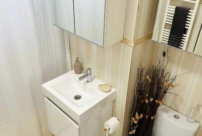 Garsoniera 46 mp, Matei Basarab 96 - Delea Noua - 11