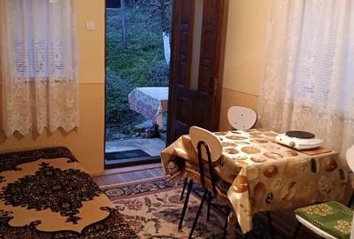 Casă individuală cu 2 camere cu Teren 2800 Mp în Boțești - 13