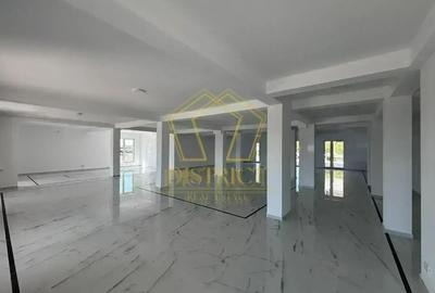 Spatiu comercial modern | Dumbravita - 2