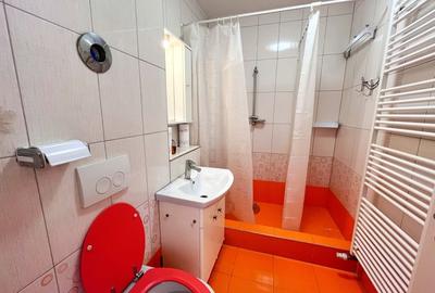 Apartament cu 2 camere decomandat, mobilat în Bartolomeu - 6