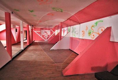 Proprietate specială, de 904 mp, în Central - 13