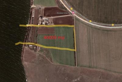 Teren Construcții extravilan de 40000 mp, în Mihail Kogălniceanu - 4
