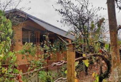 Casa de vanzare in Loc. Saraiu, Harsova - 2