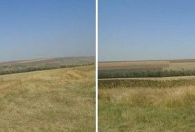 Teren de 6000 mp, în Vârlezi - 3