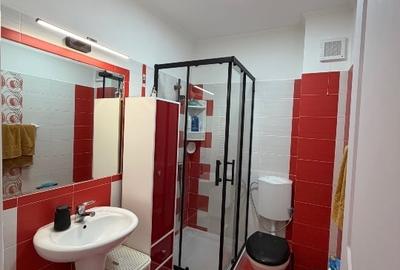 Apartament cu 3 camere decomandat, mobilat în Central - 6