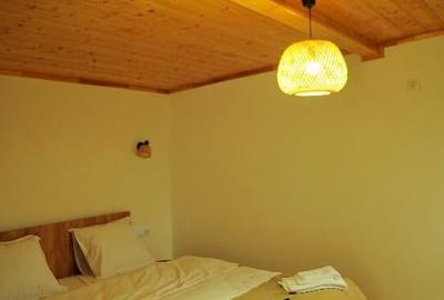 Casă premium de închiriat în Stupinii Prejmerului - 12