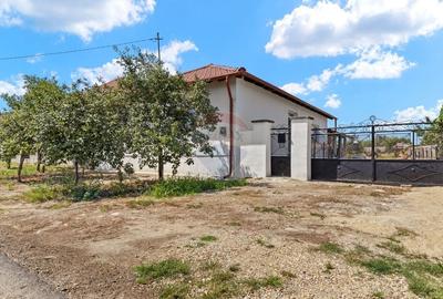 Casa spatioasa 244 mp cu teren generos 2.834 mp - Satu Mare, Secusigiu - 2