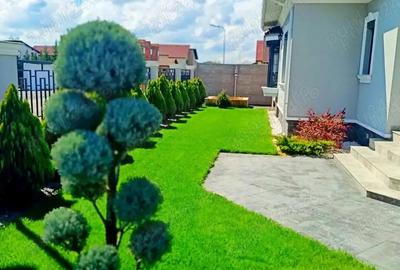 Sacalaz - casa de vanzare - 16