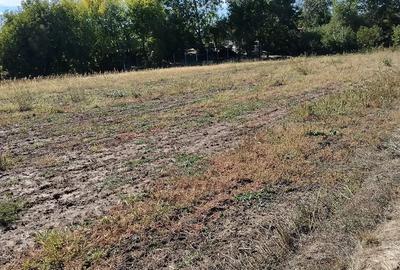 Teren de 1000 mp, în Grădinari - 4