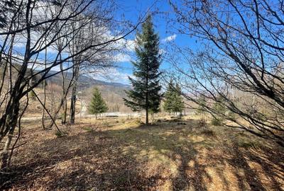 Casă individuală cu 7 camere cu Canalizare în Rogojel - 10