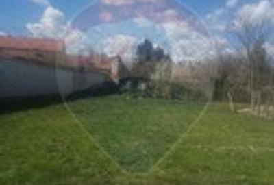 Teren intravilan in Pecica - 2