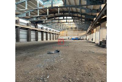 Spațiu comercial, de 14,000 mp, în Zona Liberă - 8