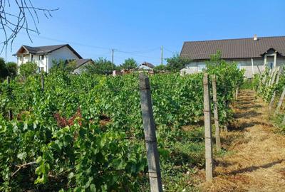 Casă cu 3 camere în Balș - 5