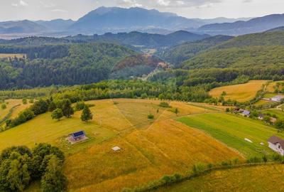 Comision 0 %/Teren intravilan 11.600mp Poiana Marului / Natura/Poveste - 6