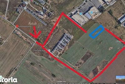 Teren de 5000 mp, în Sud - 2