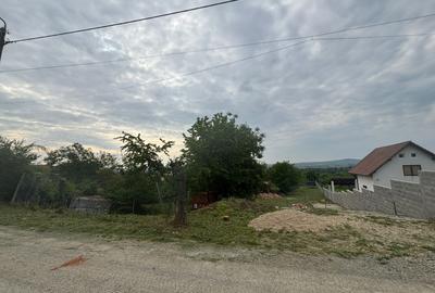 Teren Construcții intravilan de 2794 mp, în Dealuri Oradea - 6