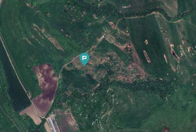 Teren de 195 Hectare Arabil în Cincu, Brașov - 2