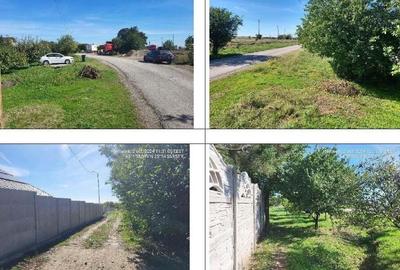 Casa si teren Stoenesti, ID: R2263337 - 3