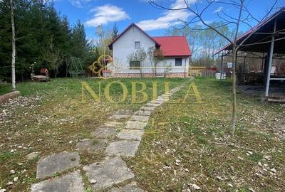 Casă cu 10 camere cu Teren 1332 Mp în Mănăstirea Cașin - 12