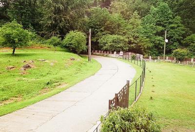 Pensiune sau casa locuit 4 camere Gureni,Gorj,Valea Bistri?ei Gorjene - 3