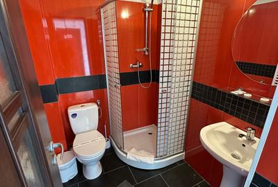 Apartament cu 2 camere în Cojocna - 6