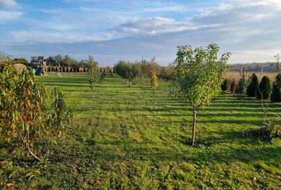 Casă cu 4 camere în Central - 7