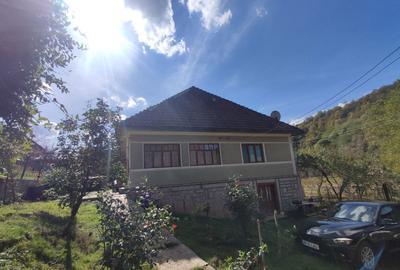 Casă cu 4 camere în Hălmagiu - 5