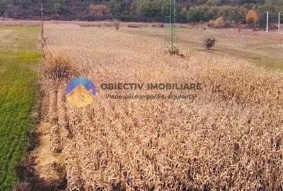 Teren intravilan de vanzare 5533 mp - Alexandru cel Bun Teren intravilan de vanzare 5533 mp - Alexandru cel Bun - 2