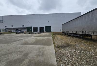 Hala industriala depozitare productie Giarmata - 1850 mp !! - 3