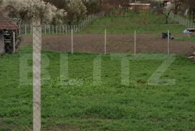 Teren de 3000 mp, în Călărași - 4