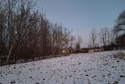 Teren Construcții intravilan de 3600 mp, în Brehuiești - 2