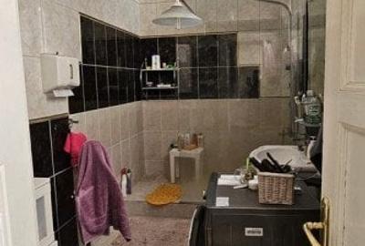 Cod Propietate - P39 Casa D+P+1+M Parcul Carol- Libertatii - 8