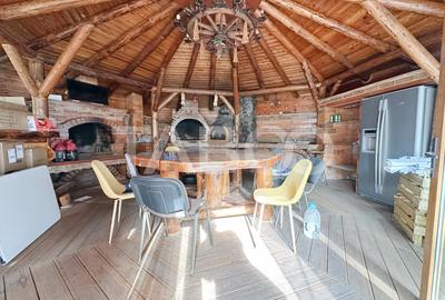 Spatiu de birouri de inchiriat utili zona Valea Aurie - 10