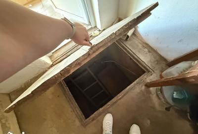 Casă cu 3 camere cu Teren 3753 Mp în Cornățelu - 6