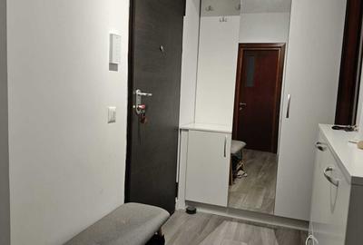 Garsoniera AFI - Exigent palza - faza 4 DB1610 - 5