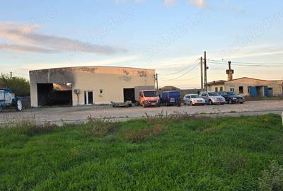 Vand Abatorul din Carani (intre TM si AR ) 6400 mp teren intravilan, 3000mp betonat, 1200 mp frigo - 10