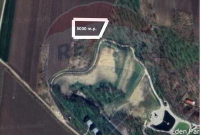 Teren 5,000mp Vorovesti / None - 3