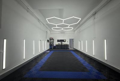 Hala Damaroaia + Curte / De Inchiriat - 3