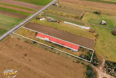 Spațiu comercial, de 794 mp, în Malnaș - 16