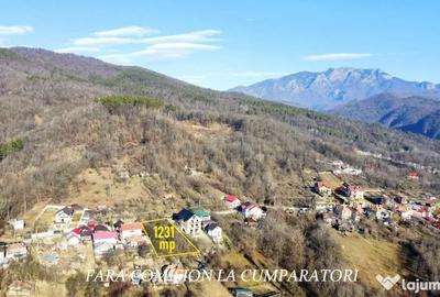 Teren de 1231 mp, în Călimănești - 11