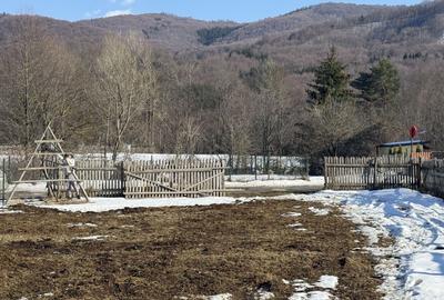 Teren Construcții intravilan de 4521 mp, în Valea Doftanei - 7