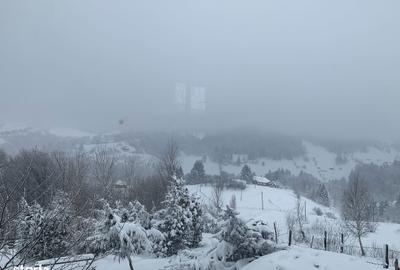 Teren de 1000 mp, în Fundata - 8