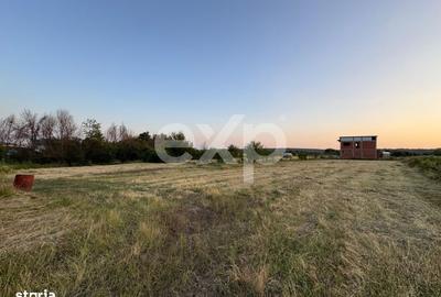 Teren de 1649 mp, în Trivale