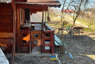 Spațiu comercial, în Păușești - 10