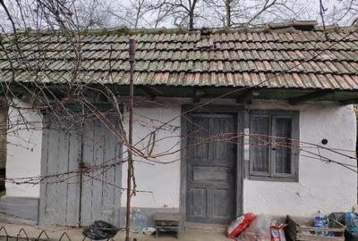 Casă cu Teren 2914 Mp în Bărcănești - 1