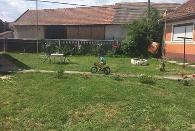 Casă cu Teren 3500 Mp în Cistei - 3