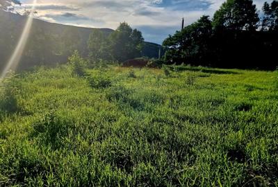 Teren 1,749mp Piatra-Neamt / Strada Zambilelor - 23