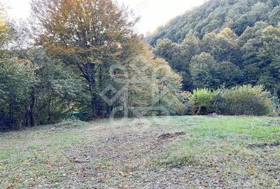 Teren de 2482 mp, în Bratca - 4