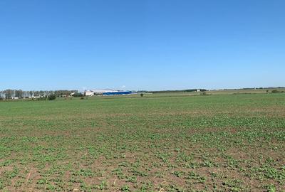 Vanzare  Teren Extravilan Afumati  12,8 Hectare (3eur/mp) - 2