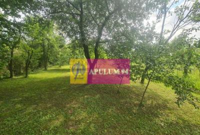 Casă cu 5 camere cu Canalizare în Bănești - 3